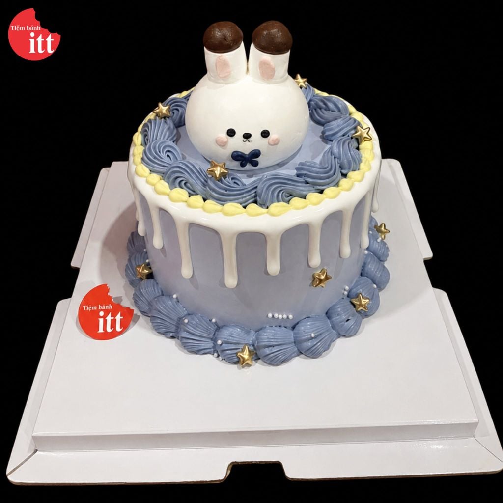 Bánh HTMN11