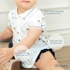 Body chip ngắn tay cổ Polo bèo gấu - PPN2303BG