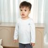 Áo dài tay cổ tròn - SVS310401
