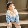 Áo khoác gió 1 lớp có mũ - SWI31171L