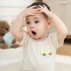 Bộ ngắn tay cổ tròn Timmy - IVS1304TM