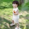 Bộ ngắn tay cài chéo - SBB130801