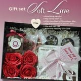  Soft Love- BST Valentine 2026 