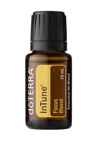 InTune Focus Blend Doterra TDHH124