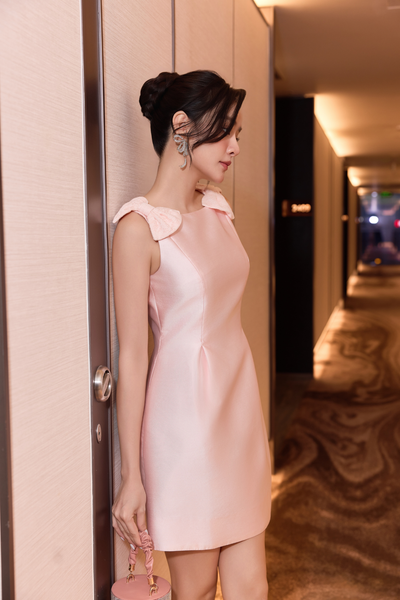 Phoebe mini dress DAM300