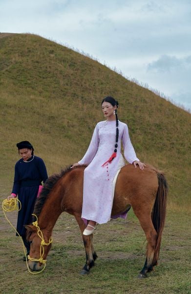 Áo dài Vân Vũ – Hoạ tiết Mai cách thuỷ | Màu tím nhạt