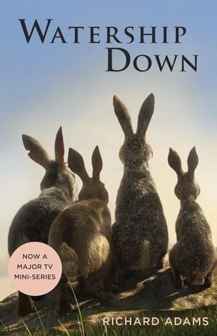  Watership Down 