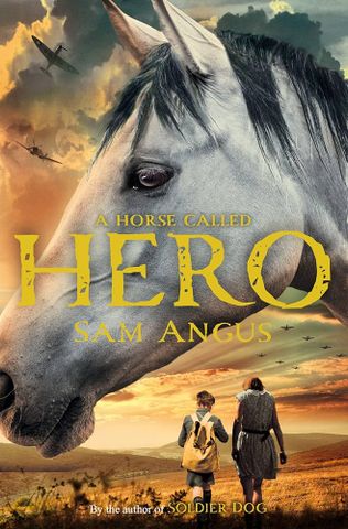  A Horse Called Hero 