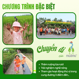 Đậu Hà Lan Markal hạt xanh vàng hữu cơ 500g