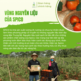 Tương ớt cho bé từ 2 tuổi SPICO lọ 260g