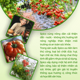 Tương ớt cho bé từ 2 tuổi SPICO lọ 260g