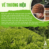 Nghệ bột hữu cơ Vipep dòng Farmer – hũ thủy tinh 40g