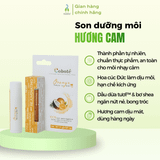 Son dưỡng không màu Coboté hương cam, dâu 5g