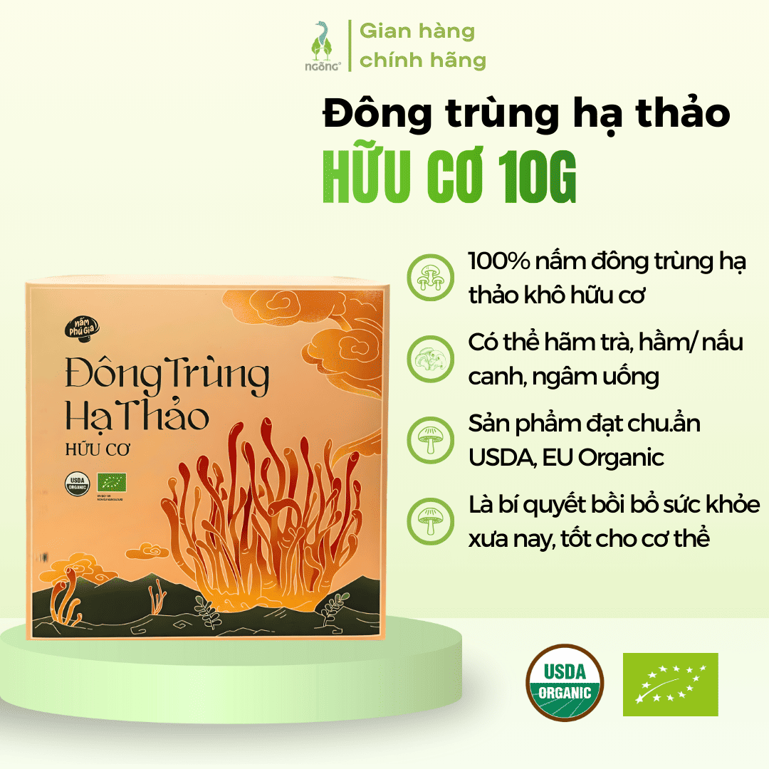 GIÁ NẤM ĐÔNG TRÙNG HẠ THẢO KHÔ TÙY LOẠI VÀ PHƯƠNG PHÁP CHẾ BIẾN