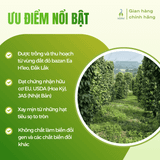 Tiêu sọ xay hữu cơ Vipep 50g