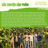 Tiêu sọ xay hữu cơ Vipep 50g