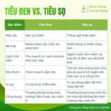 Tiêu đen nguyên hạt Vipep Farmer túi giấy 50g