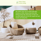 Trầm nụ Tịnh Trúc Gia