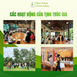 Trầm nụ Tịnh Trúc Gia