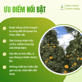 Tiêu đen nguyên hạt Vipep Farmer túi giấy 50g