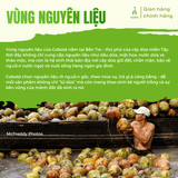 Dung dịch súc miệng Coboté Coco Miracle 200ml