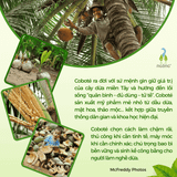 Dầu gội dưỡng sinh Coboté Detox Shampoo 480ml