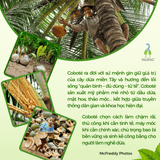 Dung dịch súc miệng Coboté Coco Miracle 200ml