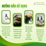 Ủ tóc Coboté Hair & Scalp Detox Oil 160ml