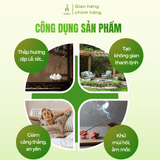 Nhang trầm Tịnh Trúc Gia 3 phân loại