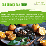 Hoa hồi khô Vipep nguyên cánh hũ 15g