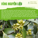 Hoa hồi khô Vipep nguyên cánh hũ 15g