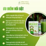 Bột cỏ lúa mì DalaHouse hộp 60g (20 gói x 3g)