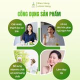Bột diếp cá sấy lạnh DalaHouse hộp 60g (20 gói x 3g)