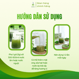 Bột diếp cá sấy lạnh DalaHouse hộp 60g (20 gói x 3g)