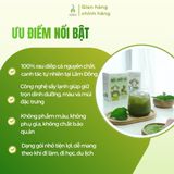 Bột diếp cá sấy lạnh DalaHouse hộp 60g (20 gói x 3g)