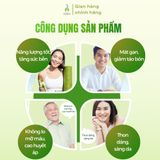 Bột rau củ tổng hợp DalaHouse hộp 15 gói x 10g