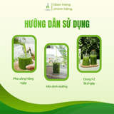 Bột rau củ tổng hợp DalaHouse hộp 15 gói x 10g