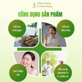 Bột tía tô DalaHouse hộp 60g (20 gói x 3g)