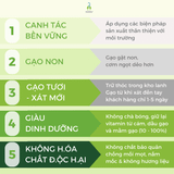 Gạo Ngỗng An Nông ST25 3kg