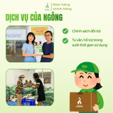 Gạo Ngỗng An Nông ST25 3kg