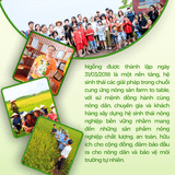 Gạo Ngỗng Sinh Thái ST25 lúa tôm rươi 700g