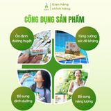 Mật hoa dừa Sokfarm dạng gói stick 15g (hộp 12 gói)