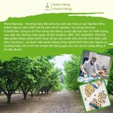 Hạnh nhân rang hữu cơ Pano Naturae 90g