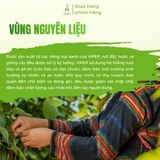 Hành bột Vipep hũ nhựa 70g