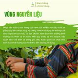 Gừng bột Vipep Farmer hũ thủy tinh 40g