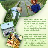 Tỏi bột Vipep hũ nhựa 70g