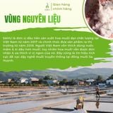 Hoa muối Sahu Sa Huỳnh Quảng Ngãi hộp 200g, 700g