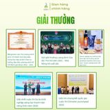 Mật hoa dừa Sokfarm dạng gói stick 15g (hộp 12 gói)