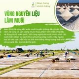 Bột canh nấm bào ngư NSC Royal 200g