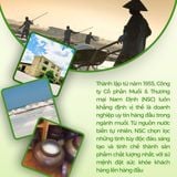 Muối hạt Nadi Salt xuất khẩu Nhật 1kg